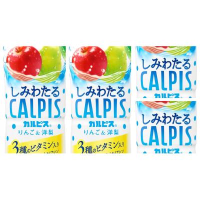 ふるさと納税 館林市 「しみわたるカルピス(R) りんご&洋梨」PET 490ml×24本 |  | 01