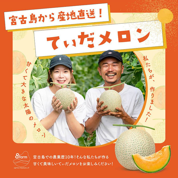 
JC005【8farm】宮古島産てぃだメロン1玉（2kg以上）《12月～1月発送》
