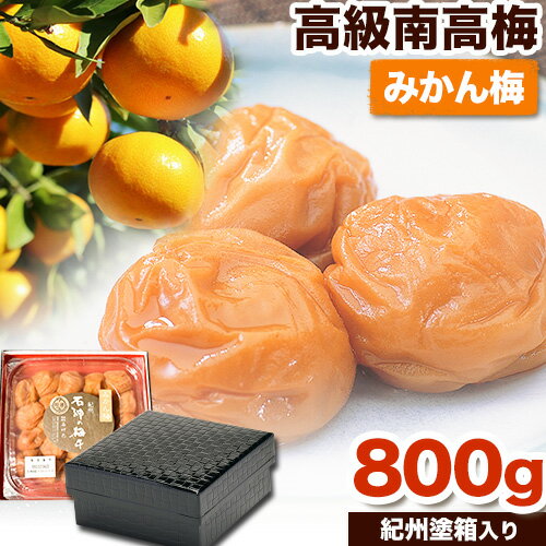 【ふるさと納税】高級南高梅みかん梅 800g 網代模様仕上紀州塗箱入り 澤株式会社《90日以内に出荷予定(土日祝除く)》和歌山県 日高町 梅干し 梅 うめ ウメ 南高梅 みかん みかん梅 紀州南高梅 紀州塗 送料無料