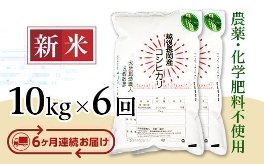 E1-S106B【6ヶ月連続お届け】新潟県長岡産コシヒカリ10kg