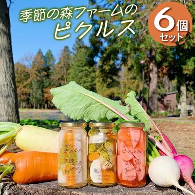 ふるさと納税 古河市 【無添加】季節の森ファームのピクルス 6個セット | ピクルス ぴくるす 野菜ソムリエ _BI89