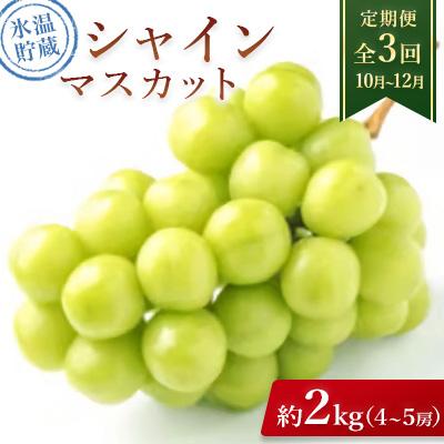 ふるさと納税 千曲市 【発送月固定定期便】氷温貯蔵シャインマスカット 約2kg(4〜5房)全3回