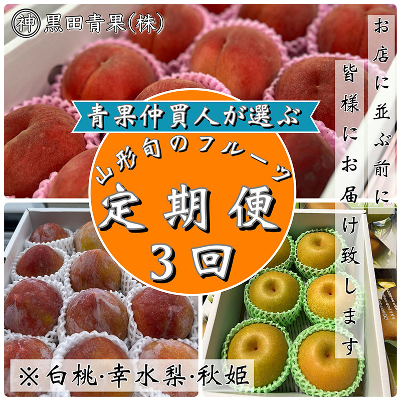 
            【定期便3回】青果仲買人が選ぶ！山形旬のフルーツ3選！[白桃・幸水梨・秋姫]【令和7年産先行予約】FS24-596くだもの 果物 フルーツ 山形 山形県 山形市 2025年産
          