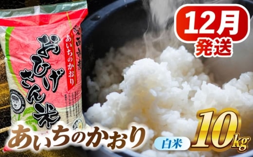 米 【12月発送】あいちのかおり 白米 10kg 米 お米 10kg 10キロ 白米 精米 新米 コメ ご飯 ごはん 愛知県産 国産 県産米 国産米 あいちのかおり 発送 時期 選べる 産地直送 30000円 3万円 令和7年 愛西市 / 脇野コンバイン [AECP002-3]