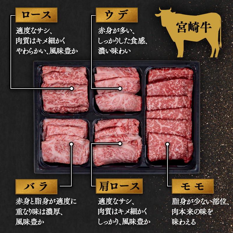 宮崎牛＆宮崎県産豚肉 焼肉10種盛り 食べ比べセット600ｇ ミヤチク 内閣総理大臣賞４連続受賞＜1.1-7＞牛肉 宮崎牛 豚肉 国産 宮崎牛 焼肉