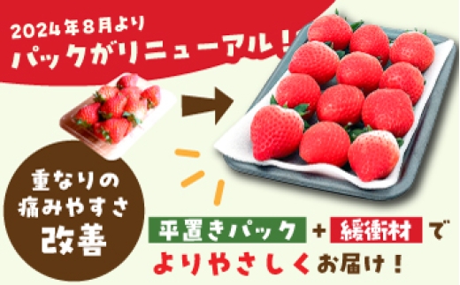 【全3回定期便】いちごさん