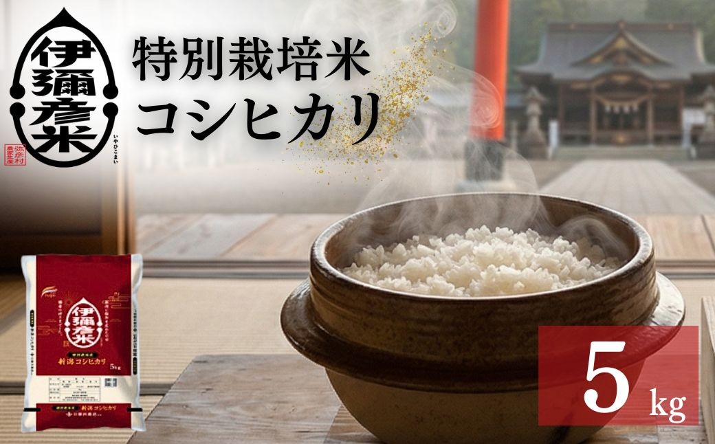 
                  米 5kg 新潟 コシヒカリ 精米 令和7年産 特別栽培米コシヒカリ「伊彌彦米」5キロ | お米 白米 こしひかり 新潟産コシヒカリ 新潟県産コシヒカリ 新潟県産こしひかり ブランド米 ギフト 贈答 贈り物 こめ コメ 新潟県 弥彦村 藤井商店
                
