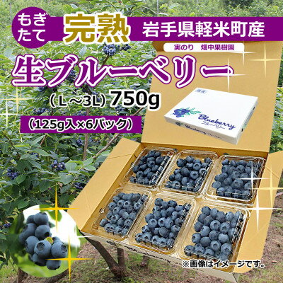 【ふるさと納税】【数量/期間限定】実のり畑中果樹園のもぎたて完熟生ブルーベリー約750g(L～3Lサイズ込み)【配送不可地域：離島・北海道・沖縄県・関東・信越、北陸・東海・近畿・中国・四国・九州】【1407141】