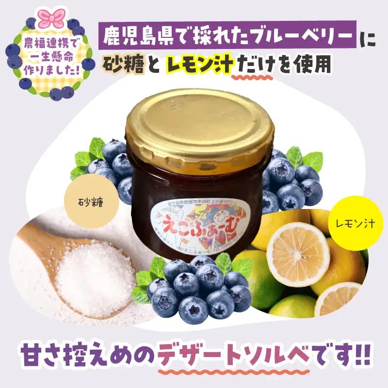 2685 ブルーベリーソルベ（6個入り） KN106-001 アイス 果物 菓子 加工食品