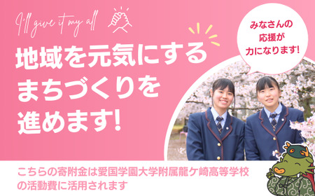 【思いやり型返礼品】母校応援 ふるさと納税 愛国学園大学附属龍ケ崎高等学校【寄附金額 2,000円】 | 思いやり型 返礼品 教育支援 母校支援 母校 応援 支援 愛国学園高校 愛国 愛龍高 茨城県 
