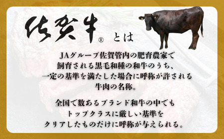 佐賀牛ヒレシャトーブリアンブロック 1kg（500g×2本）ヒレ シャトーブリアン：C200-049