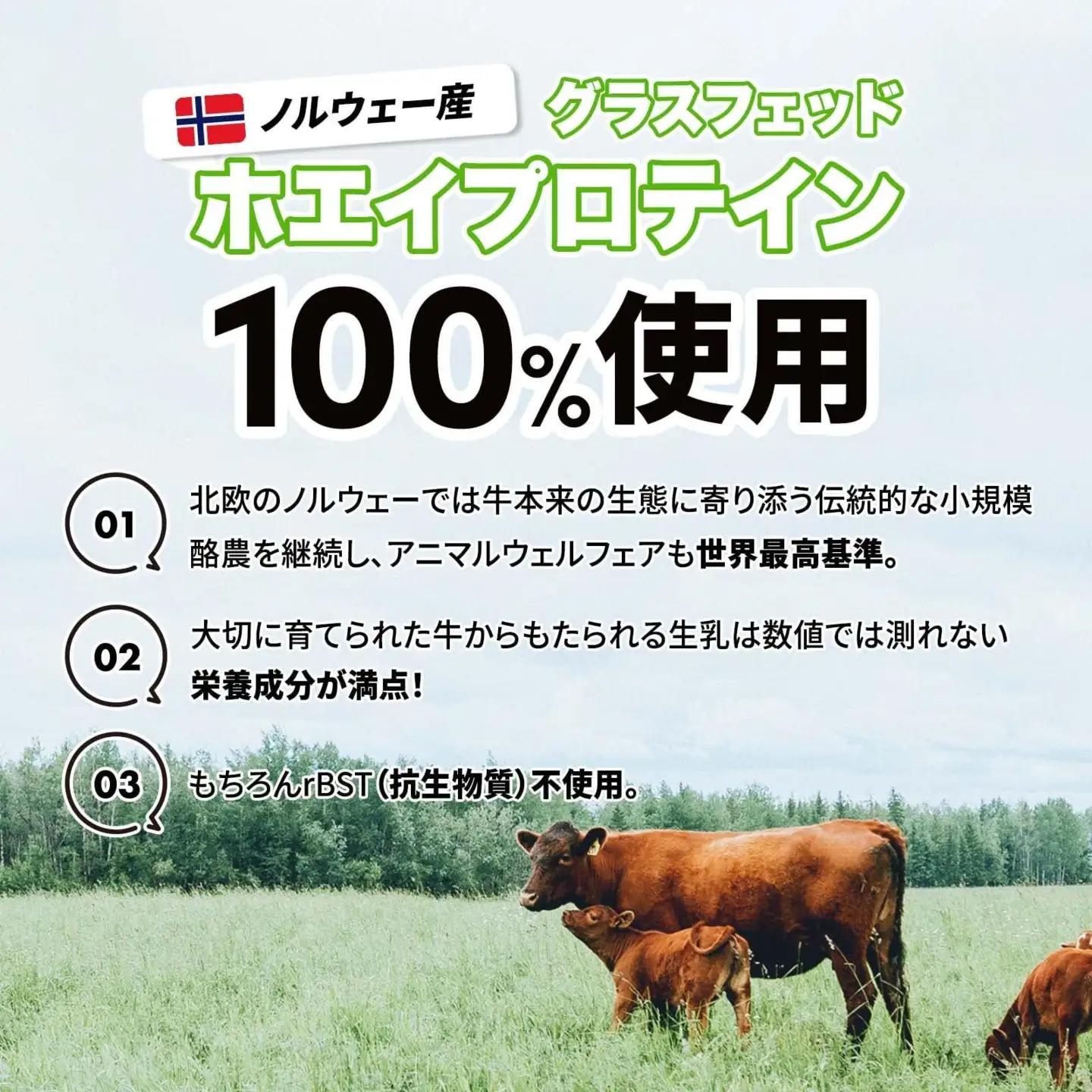 最高級グラスフェッドホエイプロテイン使用。GoCLN(ゴークリーン）自然派ホエイプロテイン 1kg ＜プレーン味＞