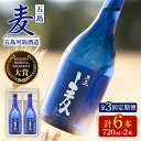 【ふるさと納税】【全3回定期便】長崎・五島列島酒造 麦焼酎 五島麦 720ml 2本セット Alc.25% お酒 焼酎 五島市/五島列島酒造 [PAH010]