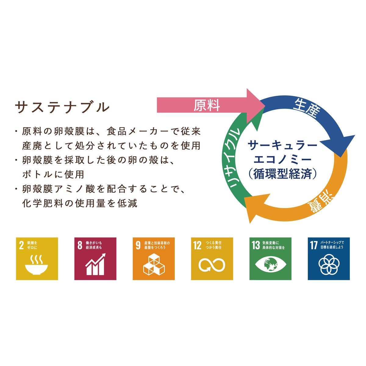 「たまごの液肥」オーガナブル (すべての家庭園芸用) 800ml 2本セット ENEGGO株式会社 肥料 サステナブル 園芸 ガーデニング 野菜 V6-1_イメージ5