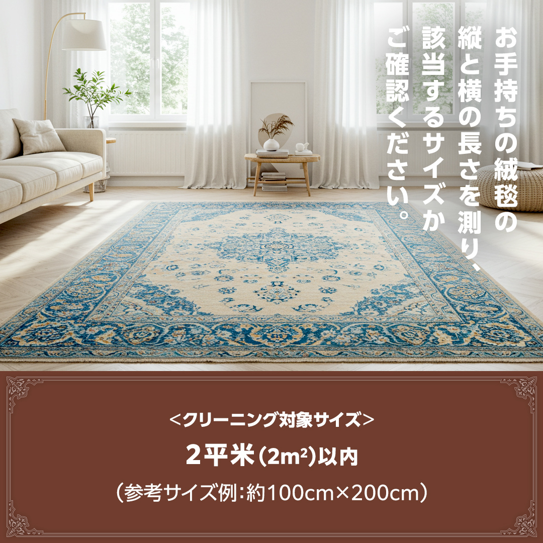 宅配 絨毯 クリーニング チケット │ ペットファミリーコース（2平米以内）約100cm×200cm 宅配 クリーニング 洗濯 洗浄 清潔 じゅうたん ラグ カーペット 丸洗い マット ニオイ対策 大