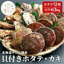 【ふるさと納税】【国内消費拡大求む】北海道サロマ湖産　貝付きホタテ12枚・カキ約3kg　魚貝類・かき・帆立・ホタテ・貝付きホタテ・ほたて・海鮮・生牡蠣・牡蠣　お届け：2024年11月～2025年1月中旬頃まで