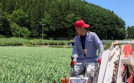 丸美農園 田子産にんにく家庭用バラ 約900g（M～2L）＋黒にんにく 1個