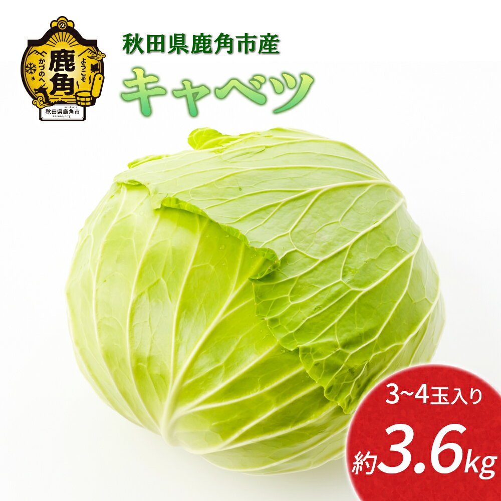 【ふるさと納税】《 先行予約 》キャベツ 約 3.6kg 新鮮 旬 産地直送 安全 甘い 採れたて 国産野菜 お取り寄せ グルメ ギフト お中元 お歳暮 秋田 あきた 鹿角市 鹿角 秋田県 鹿角産 送料無料 【恋する鹿角カンパニー】