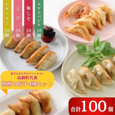 ふるさと納税 高鍋町 樹樹の餃子4種のモリモリセット計100個