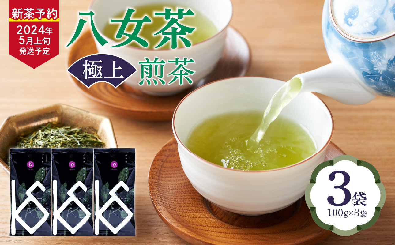 
【2024年新茶予約】八女茶 極上煎茶100ｇ×3袋【2024年5月上旬発送予定】
