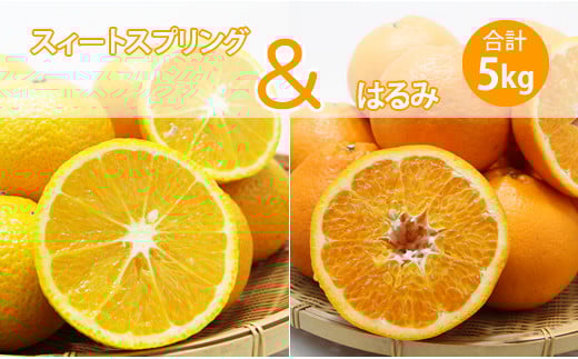 
            【先行予約】ご家庭用スイートスプリングとはるみセット（５kg）柑橘詰め合わせ みかん フルーツ セット
          