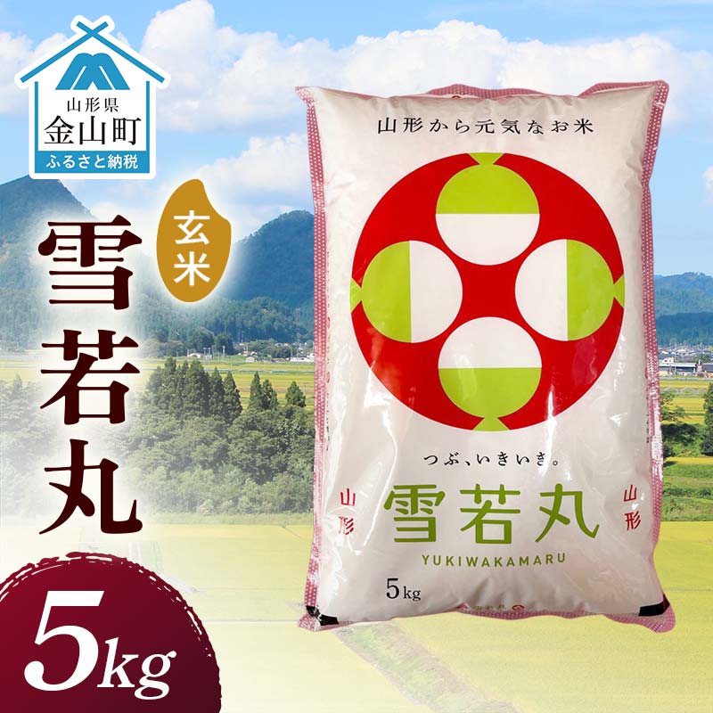 【ふるさと納税】 令和7年産 金山産米 雪若丸 【玄米】（5kg）米 お米 ご飯 玄米 ブランド米 送料無料 東北 山形 金山町 F4B-0685