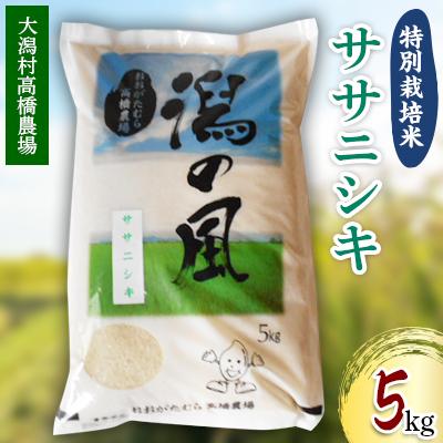 ふるさと納税 大潟村 大潟村高橋農場　特別栽培米「ササニシキ」5kg | 