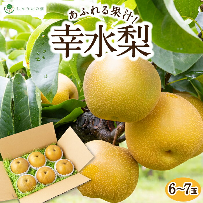 【ふるさと納税】【先行予約】しゅうたの畑 あふれる果汁 幸水梨 6玉から7玉 【2026年7月下旬～8月上旬より順次発送予定】 梨 なし ナシ 幸水 こうすい フルーツ 果実 果物 常温 送料無料 福岡県 うきは市