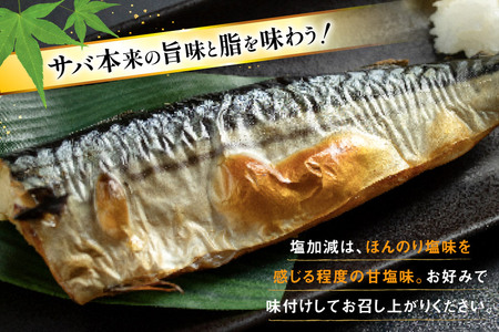 訳あり 減塩 無添加 塩サバ フィレ Mサイズ 総重量 3kg (15-21枚入) 