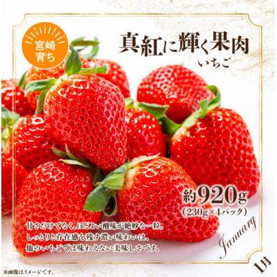ふるさと納税 宮崎市 【発送月固定定期便】旬のフルーツ6か月定期便Vol.3全6回 |  | 02