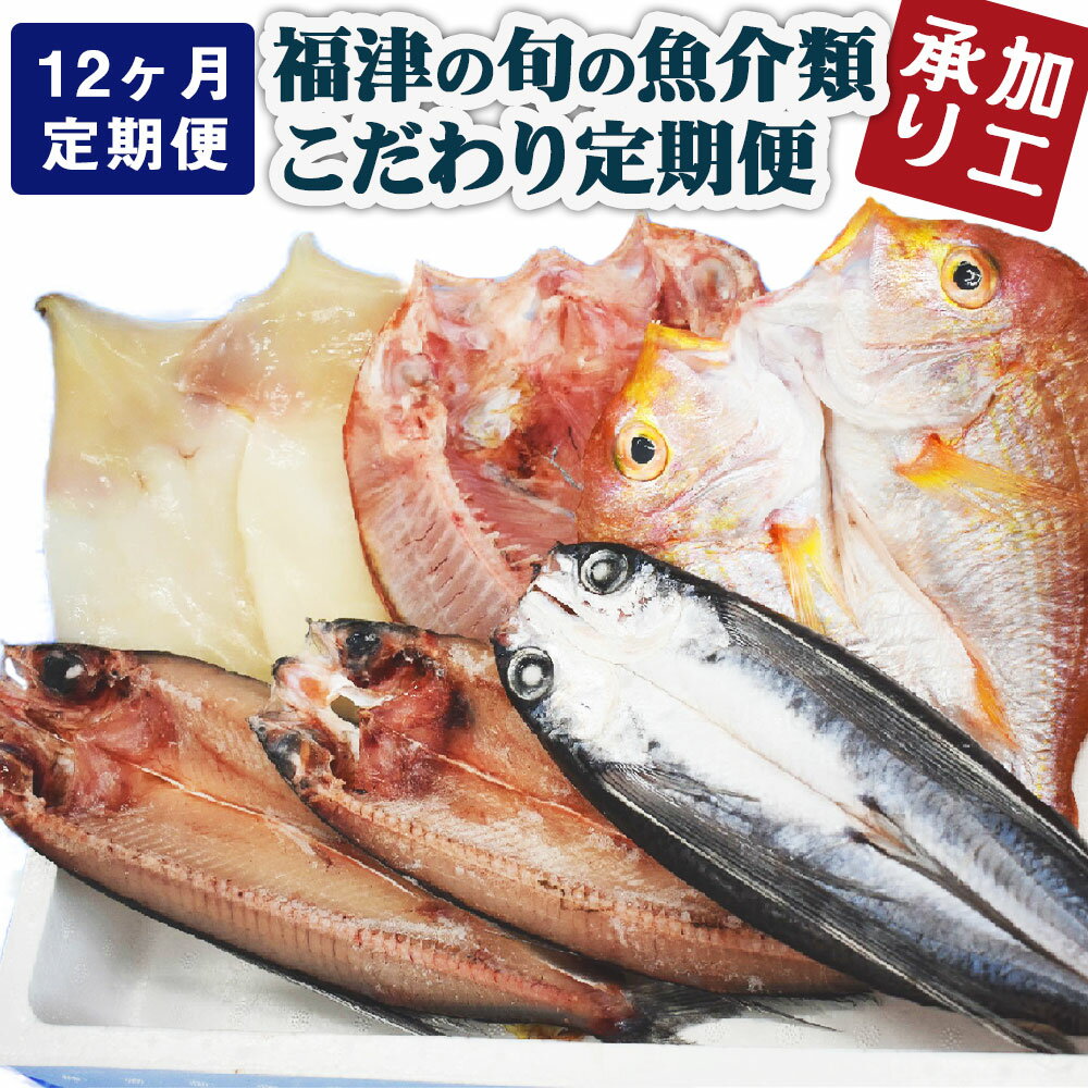 【ふるさと納税】＜加工承り＞【年12回毎月定期便】 福津の旬の魚介類こだわり定期便 魚 魚介類 イカ サザエ 真鯛 セット 定期便 地魚 コウイカ アオリイカ 定期便 新鮮 冷蔵 福津市産 送料無料 [G7016]