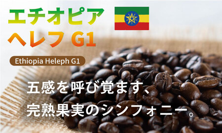 自家焙煎 コーヒー 豆 2種セット コロンビア×80g、エチオピア×80g （ロースト豆）珈琲 セット 贈答 プレゼント アースフルコーヒー