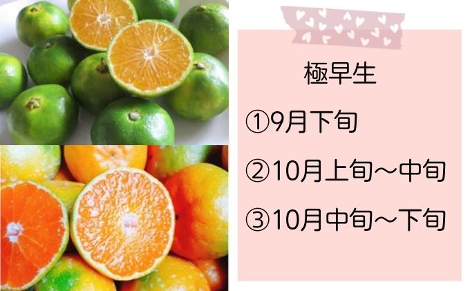 【7回頒布会】～フジカワ果樹園産地直送便～香川県産・彩