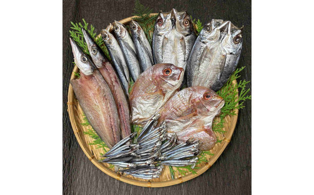 山道水産　長崎県産干物セット　鈴（すず）【AE47】