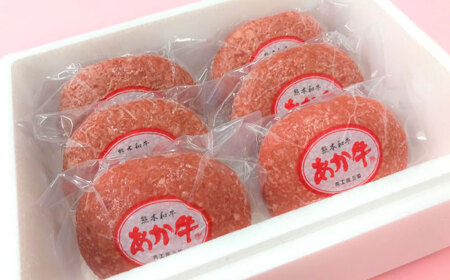 【数量限定】熊本 和牛 あか牛 100％ ハンバーグ 約120g×6個【有限会社 三協畜産】[AYCQ001]
