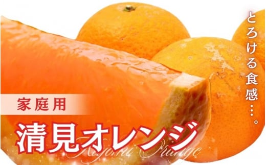 ＜2月より発送＞家庭用 清見7.5kg+250g（傷み補償分）【光センサー食頃出荷】【樹上完熟きよみオレンジ・清見タンゴール・清美】【わけあり・訳あり】【ikd200B】