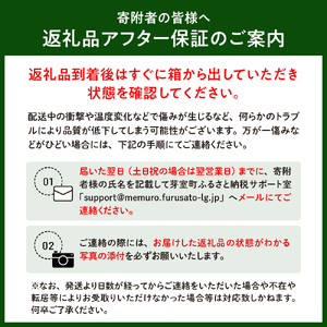レビューキャンペーン実施中！【2025年先行受付】朝採りをお届け！ 北海道十勝芽室町　蝦夷っ子とうもろこし ゴールドラッシュ 6本 スイートコーン ゴールドラッシュ キャンプ飯 BBQ ソロキャン人気