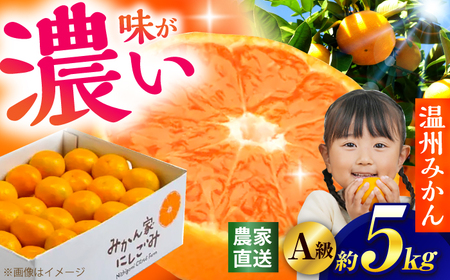 【先行予約】＜サイズおまかせ＞高知県産温州みかんA級品 約5kg ＜2026年11月上旬～2026年12月下旬頃発送＞ / みかん 柑橘 オレンジ 高知県 温州 【株式会社にしごみ】[ATEA009]