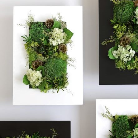 
            プリザーブドフラワー フォレスト
          