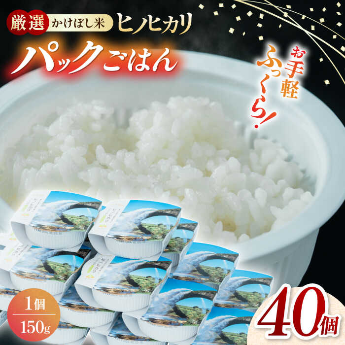 【ふるさと納税】【数量限定】いちょうの畑 パックご飯 ヒノヒカリ 150g×40パック 【農事組合法人いちょう】[YDN005]