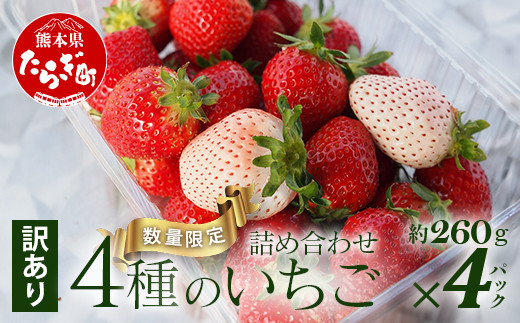 【先行予約】【訳あり】熊本県産 いちご 詰め合わせ 約260g×4パック ≪ 4種のうち2～4種お届け 苺 イチゴ 数量限定 坂下農園 イチゴ 2パック 苺 フルーツ 果物 春 名産 熊本 多良木町 ビタミン 旬 先行予約 ≫103-0010