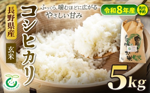 【令和8年産先行予約】 コシヒカリ 玄米 5kg 信州 安曇野 松川村産 特別栽培米 | そば処こうや 米 こめ コメ お米 玄米 コシヒカリ こしひかり ライス 特別栽培米 長野県 松川村 信州