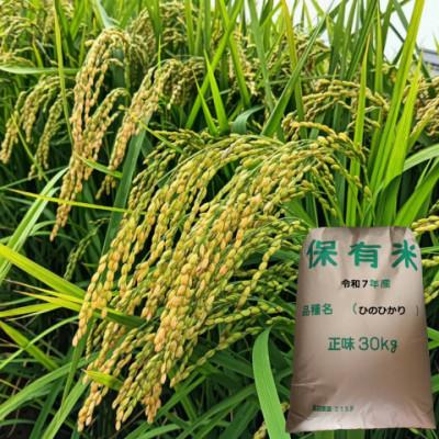 ふるさと納税 高石市 【数量限定】ひのひかり玄米30kg