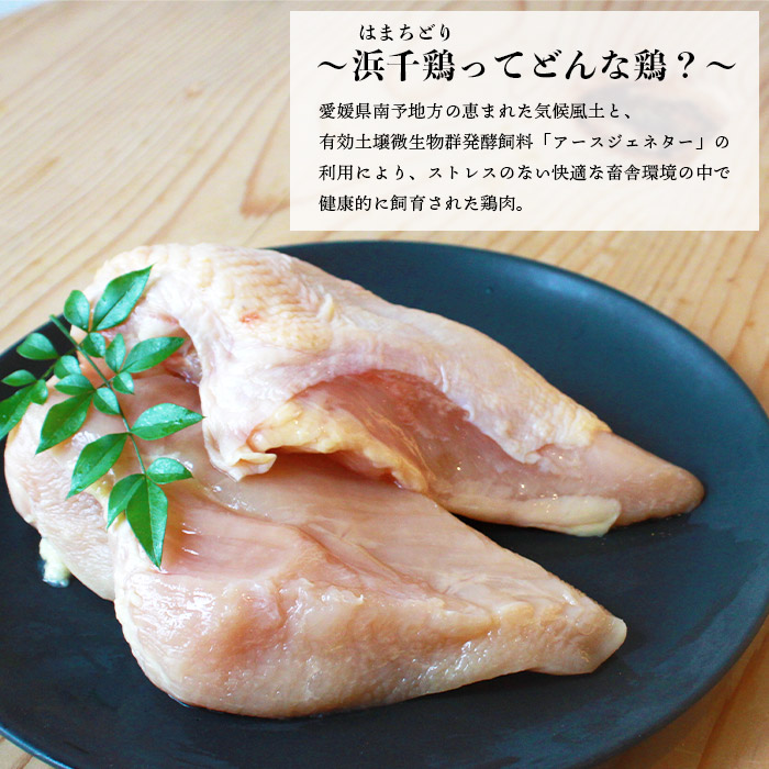 ＜銘柄鶏 浜千鶏 愛媛県産 若鶏むね肉 5kg（1kg×5）＞ 国産 鶏肉 鳥肉 とり チキン むね肉 ムネ はまちどり 精肉 にく ブロック 料理 アレンジ 夕飯 夕食 お弁当 昼食 唐揚げ から揚