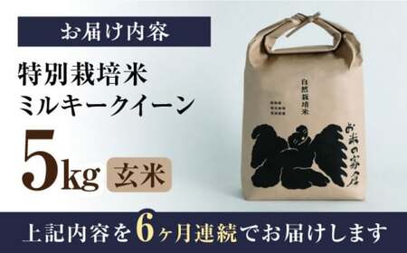 【令和6年度産】【全6回定期便】自然栽培米ミルキークイーン　5kg玄米×6回　滋賀県長浜市/株式会社お米の家倉[AQCP013] 玄米 玄米 玄米 玄米 玄米