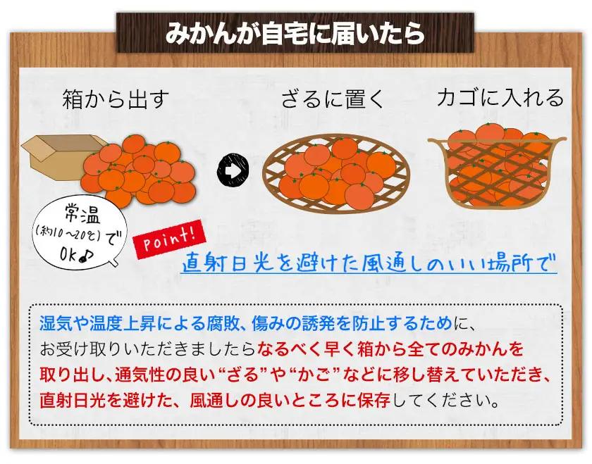 ゆら早生 みかん「ゆらっ子」 約5kg JA紀州産直店 さわやか日高（日高川町）みかん
