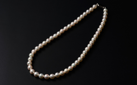 【数量僅か】艶々セミラウンド8～8.5アコヤ真珠ネックレス 43cm ジュエリー アクセサリー ネックレス 真珠 パール 美穂野 佐賀市 ：C200-047