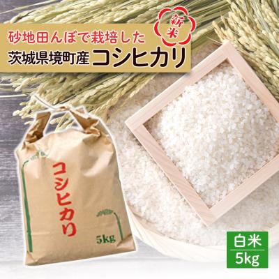 ふるさと納税 境町 新米 / 白米 《50個限定》　令和7年産 茨城県 境町産 コシヒカリ 5kg 2025年産