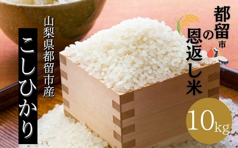 
            【ふるさと納税】【令和7年産 新米】山梨県都留市産 コシヒカリ 10kg｜精米 産地直送 送料無料【都留市の恩返し米】（5㎏×2）
          