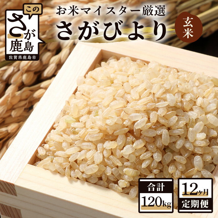 【ふるさと納税】【12ヶ月定期便】佐賀県産 さがびより 玄米 10kg×12回 《12ヶ月連続 毎月お届け》 定期便 12か月 合計120kg 合計12回発送 お米 九州 米 国産 九州産 佐賀県 鹿島市 送料無料 S-2